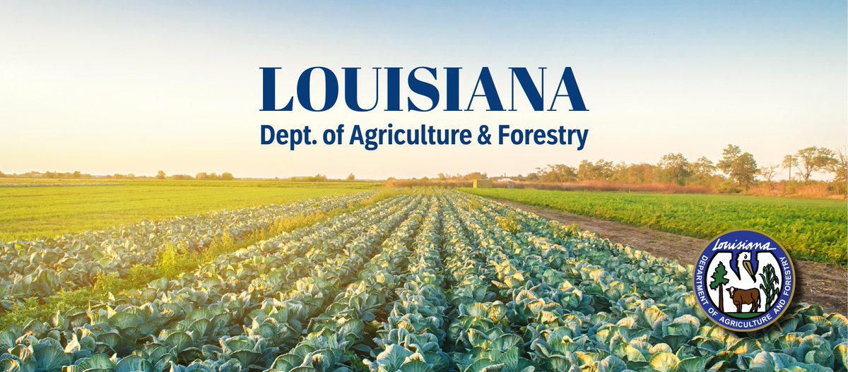 AOSA/SCST tweet media