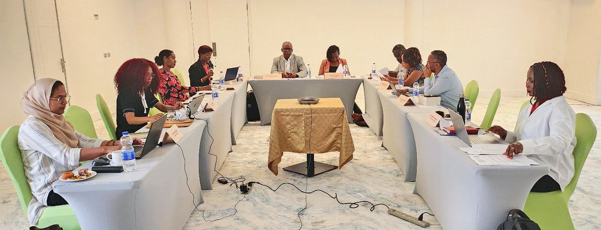 Today, the Tana Forum Secretariat convened a productive and insightful hybrid Tana Technical Committee meeting to further fine tune the 11th Tana Forum agenda.
#TanaForum