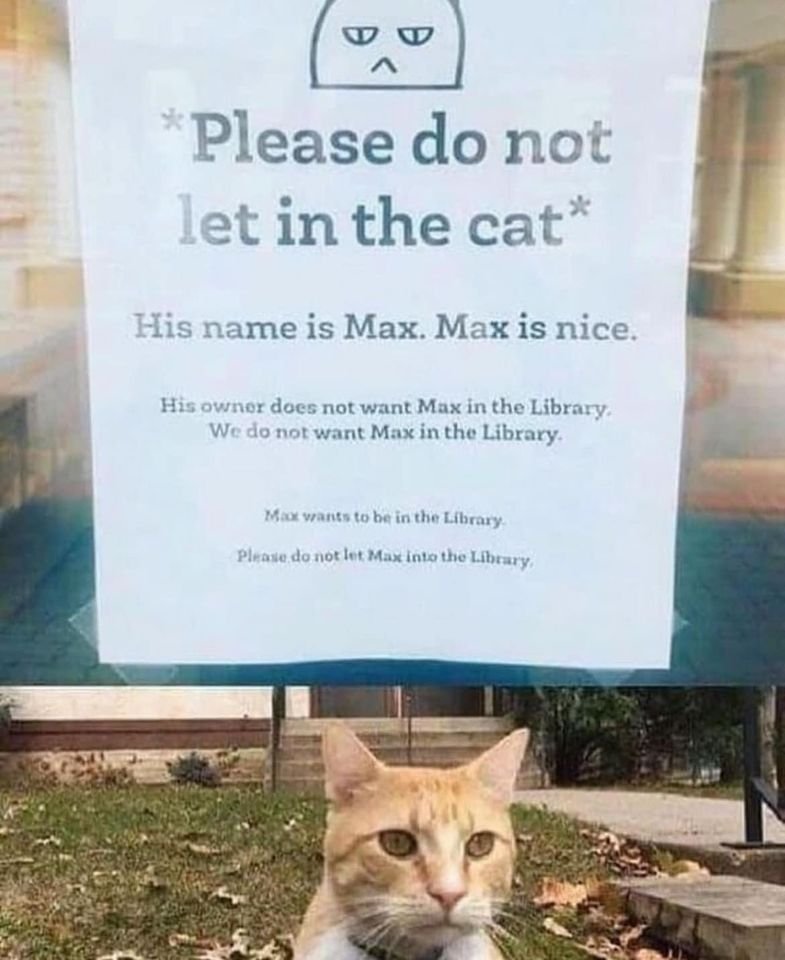 I'd totally let Max into the library. 🤣