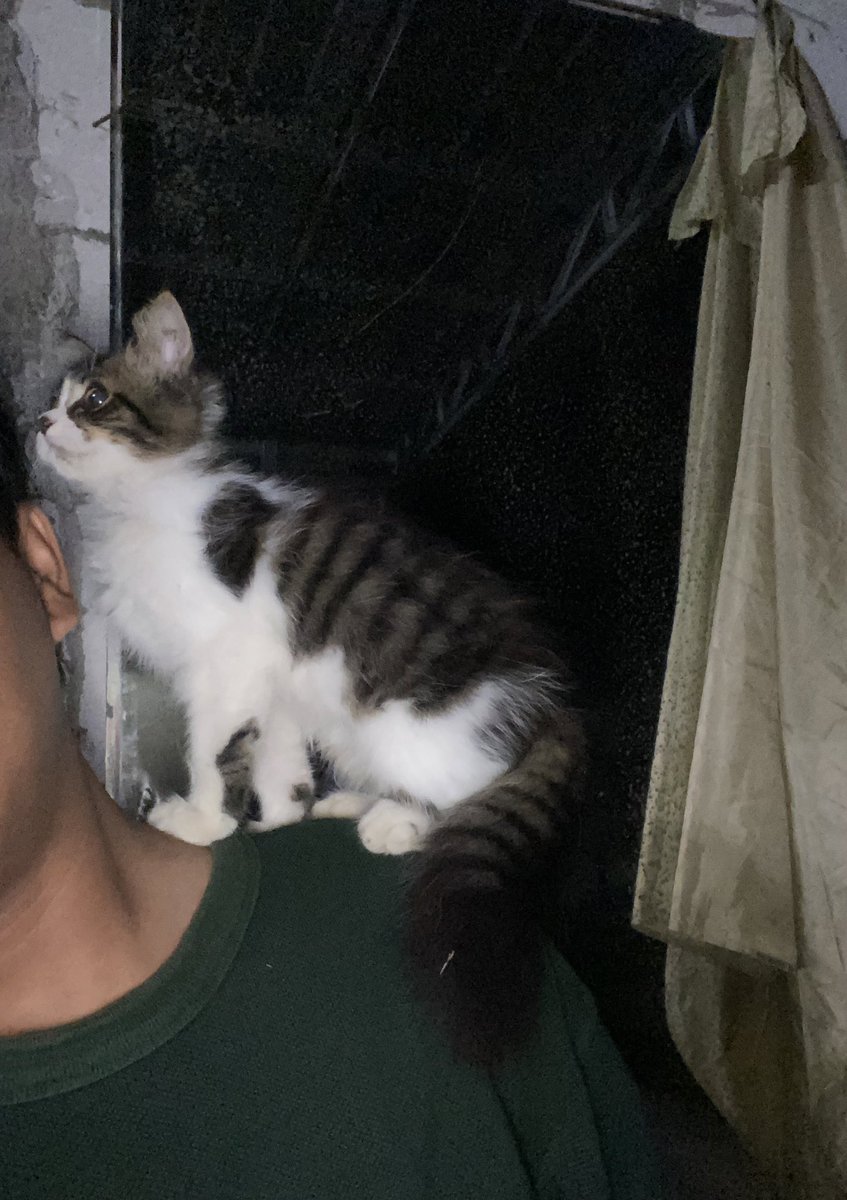 kenalin nama ak vario