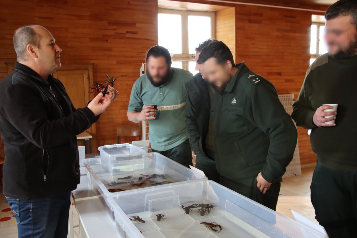 LIFEriparias's tweet image. Training sessions are underway! 🚀
Fantastic training session on #managing #invasive alien #crayfish with the Nature and Forestry Department. Theory plus hands-on experience equals progress!💫Thanks to all participants 🙌