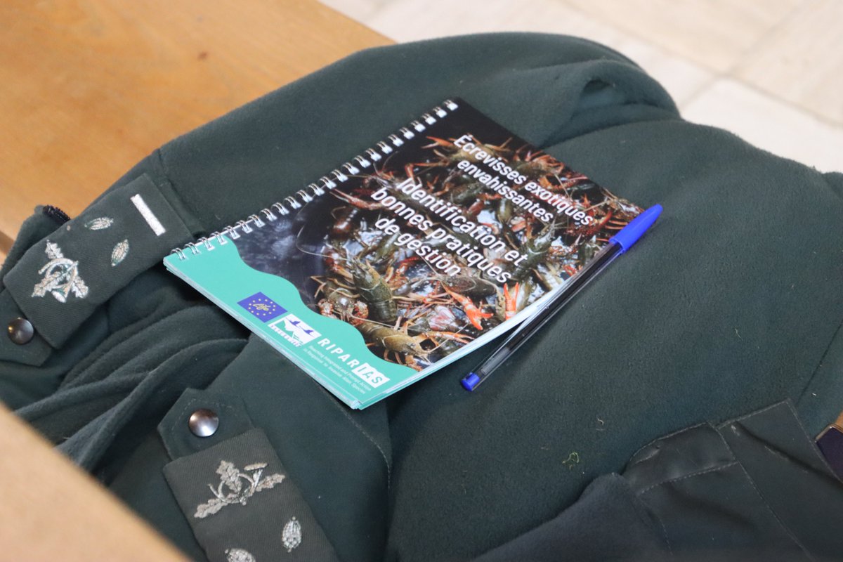 LIFEriparias's tweet image. Training sessions are underway! 🚀
Fantastic training session on #managing #invasive alien #crayfish with the Nature and Forestry Department. Theory plus hands-on experience equals progress!💫Thanks to all participants 🙌