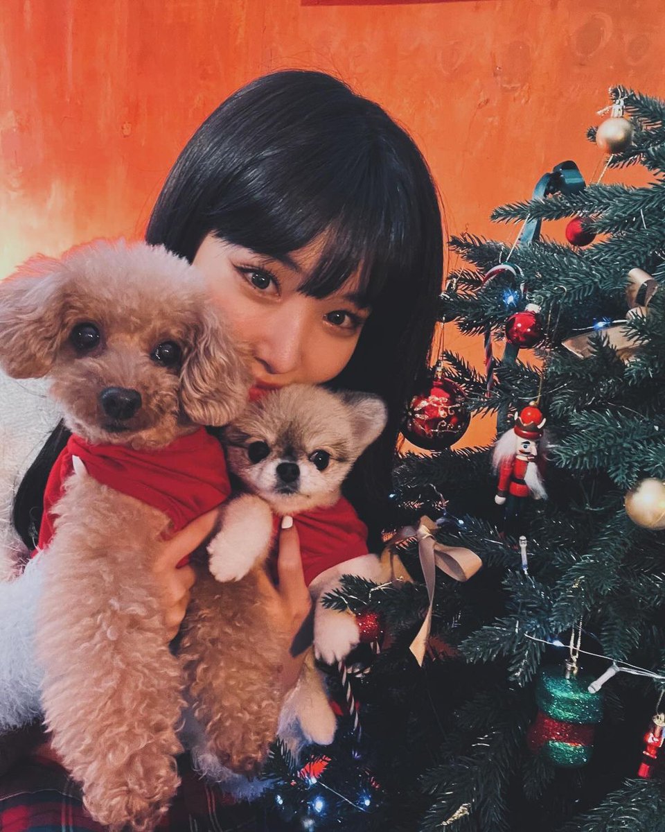 Cheonggha's tweet photo. @Eclairestial As the wise said, Vitamin C is needed to keep you fit. Thus, I believe you will need Vitamin C(hungha) as well to keep the place... healthy, and fun.

So, I guess I will see you around, hopefully soon! https://t.co/BuXYdaPjIB