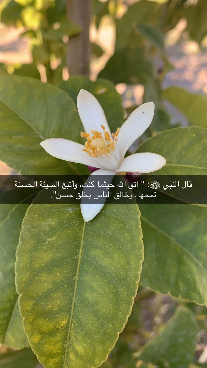 abnmashiual's tweet photo. https://t.co/jqJpFtkLbq