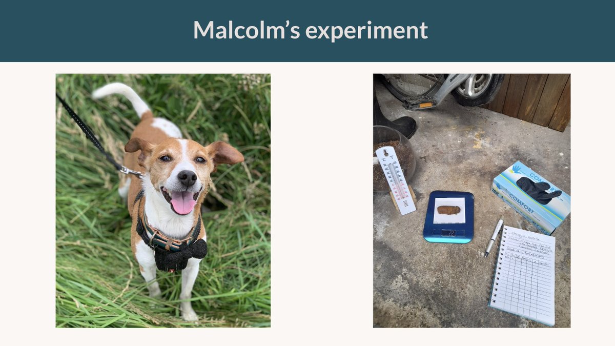 EleJGreen's tweet image. I&apos;ll be giving a talk for the @paastacommunity
at 4pm and will end by talking about Malcolm&apos;s poo experiment. A 250 day old poo that lives in my shed, for science 💩

The talk is free, so get in touch with Paasta or join their slack group for the link.