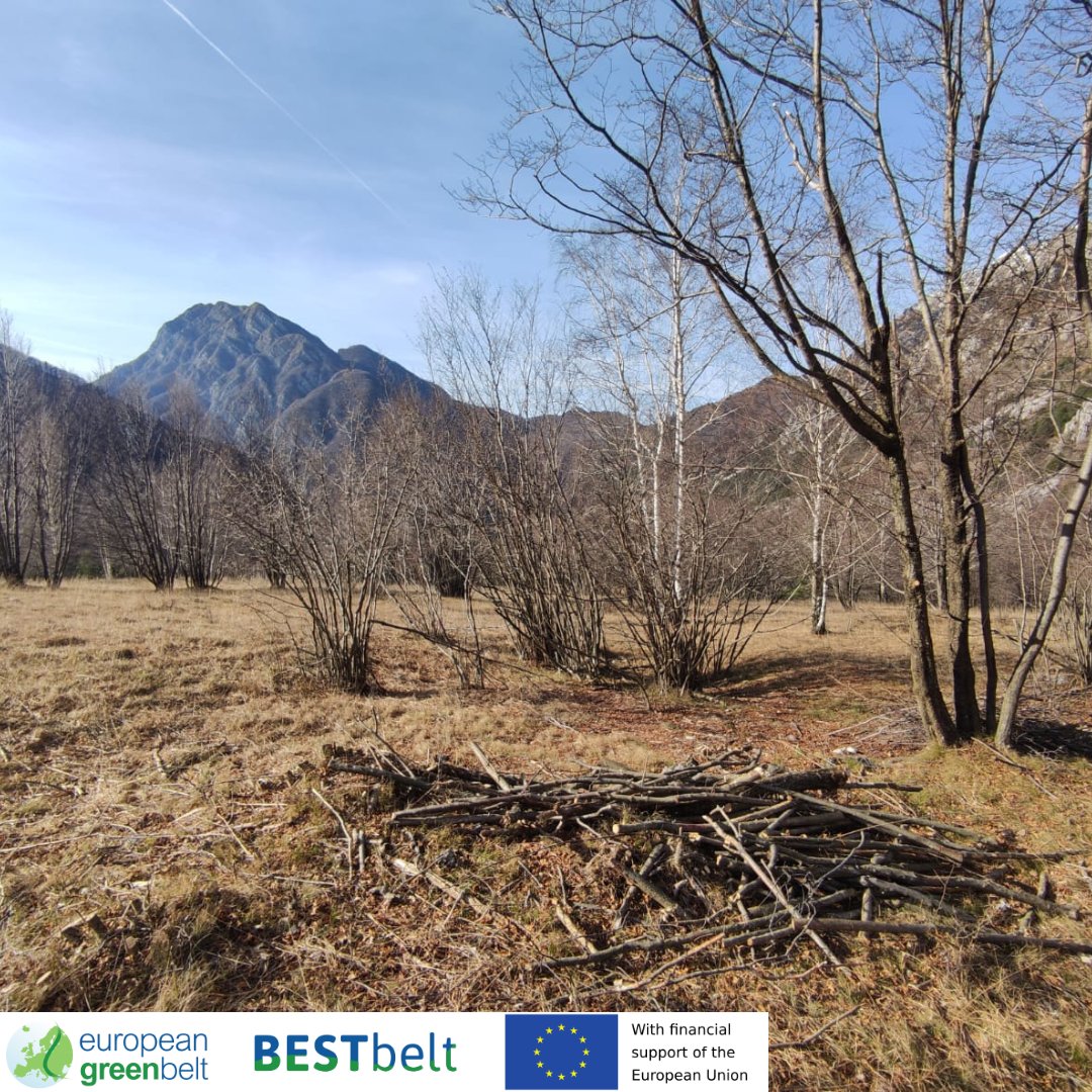 Celebrating the end of the restoring operations on prealpine meadows for our #BESTbeltproject in Lusevera! We freed the area from encroaching shrubs and young trees to give space and sunlight to the botanical species living in this #N2000habitat. #EuropeanGreenBelt #RIEGB #Fvg