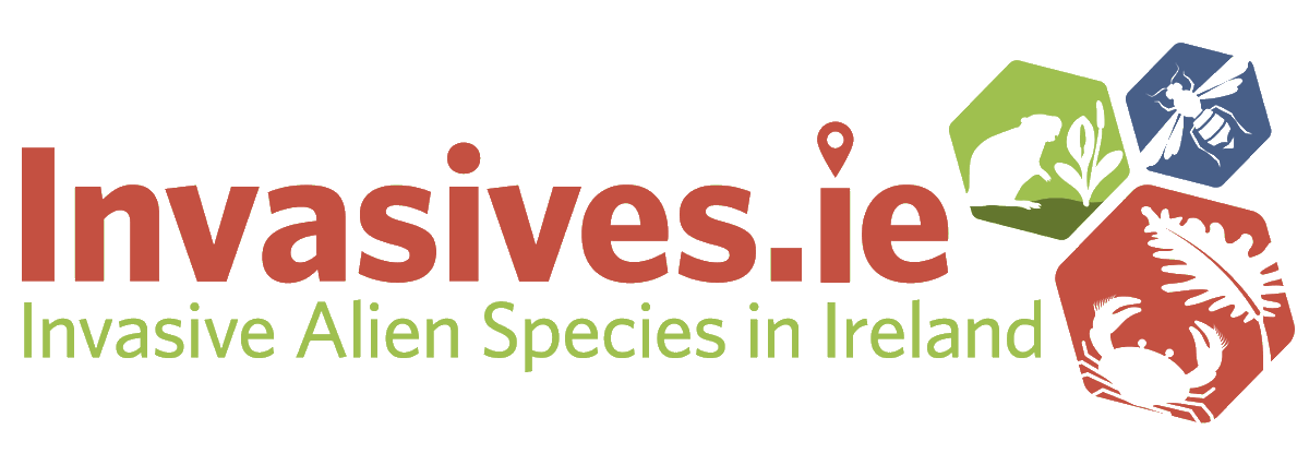 📢Great opportunity now open to join the @BioDataCentre expanding Invasive Species Unit. You could be one of 5 new Officers working on exciting multi-annual invasive species projects. Full details in this brochure: biodiversityireland.ie/we-are-recruit… 1/2