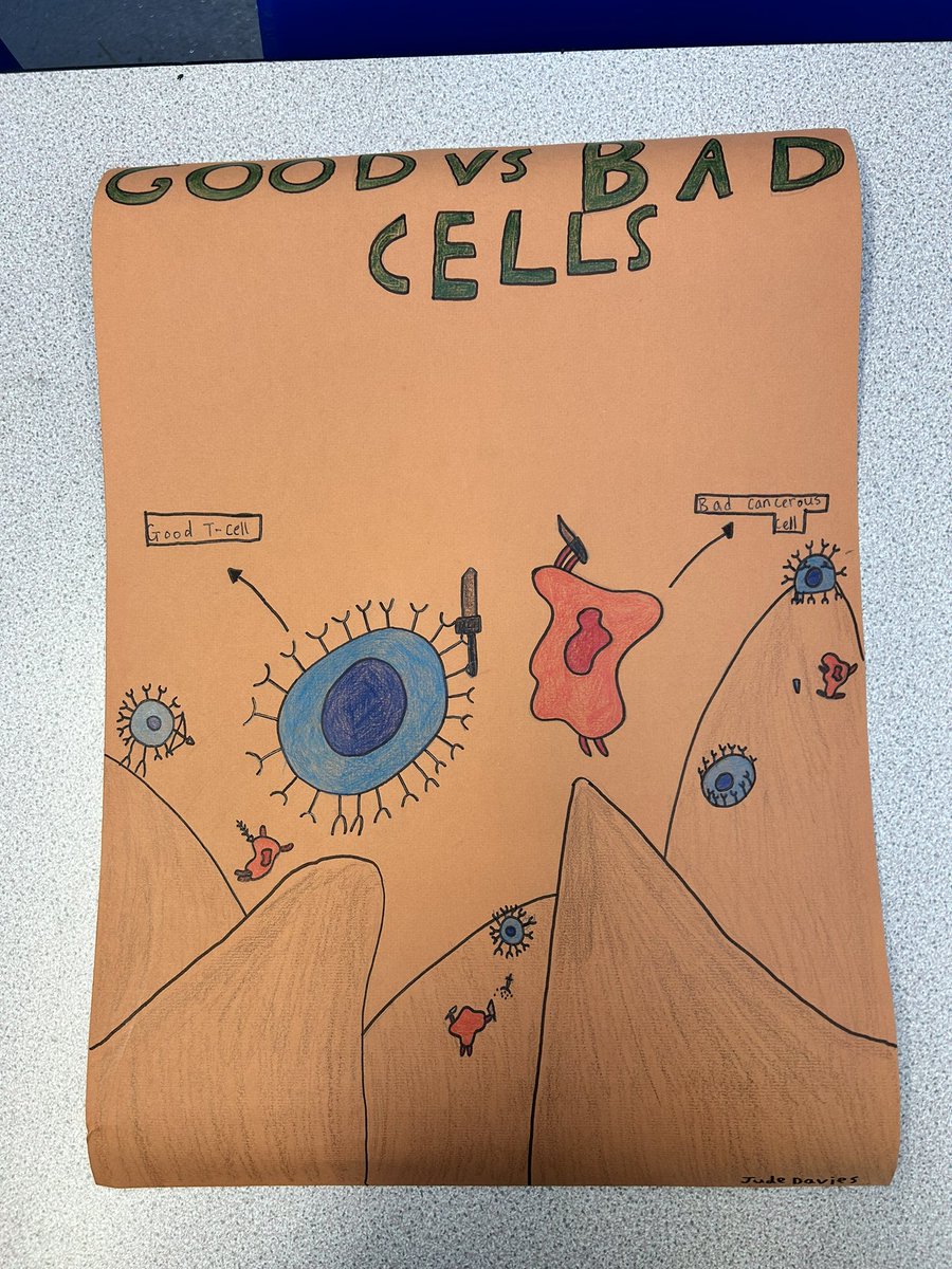 ScienceDYF's tweet image. A huge amount of effort went into 7H’s cell models! #cellmodels