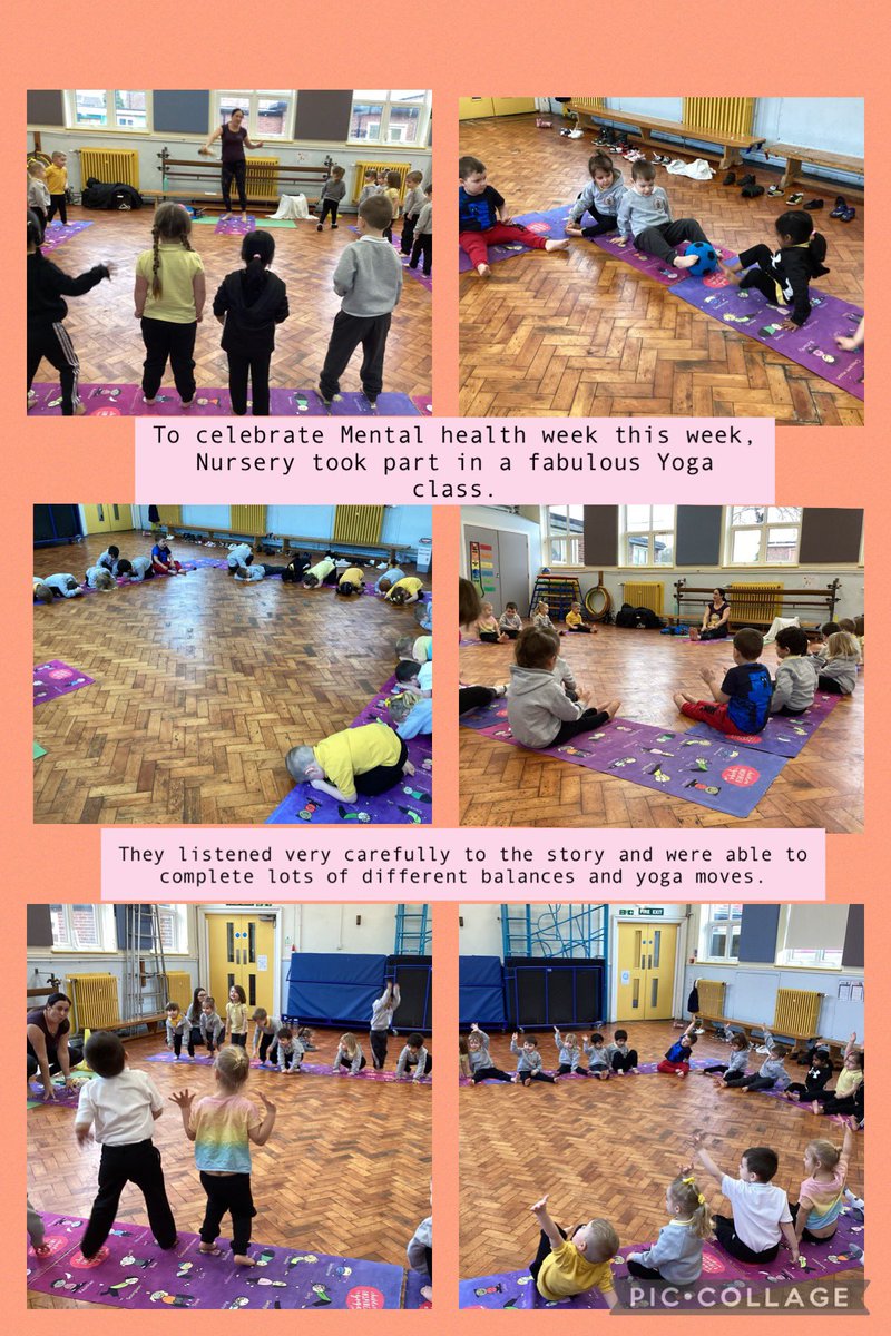 Collingwood Primary School tweet media