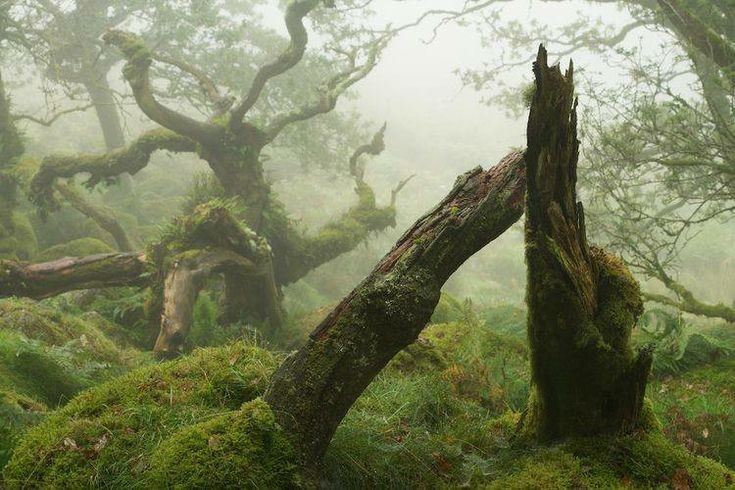 elemmiressoul's tweet photo. peaceful nature. https://t.co/pptjlSFaos