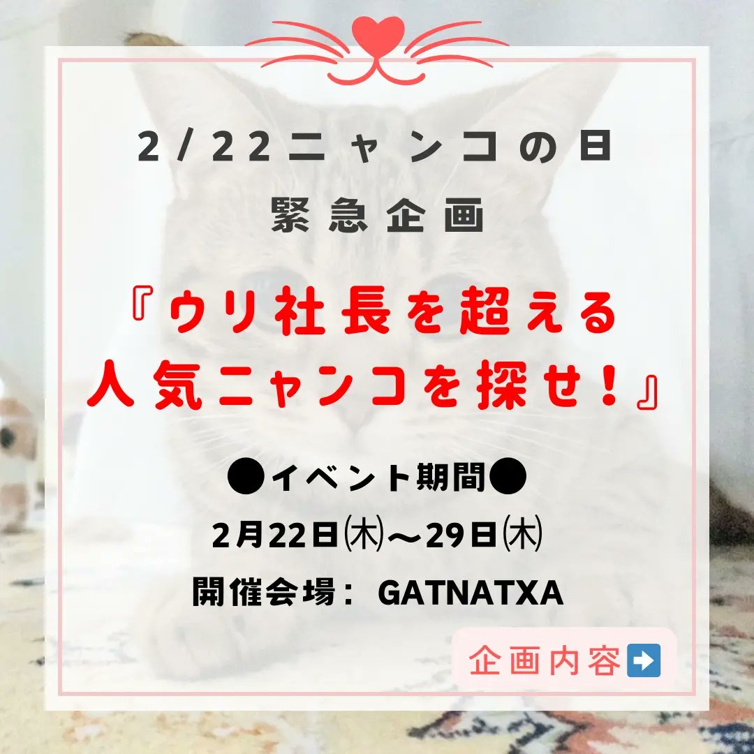 gatnatxa's tweet photo. 2/22猫の日緊急企画！
ご自慢のニャンコ写真を送って下さい！
猫の日は店内を猫ちゃんの写真でいっぱいにしたいのです！
皆様、ご応募、ご協力よろしくお願い致します。

#猫の日 #にゃんこ #ニャンコの日 #にゃんフォトコンクール #猫イベント https://t.co/fdx0MYVCeJ