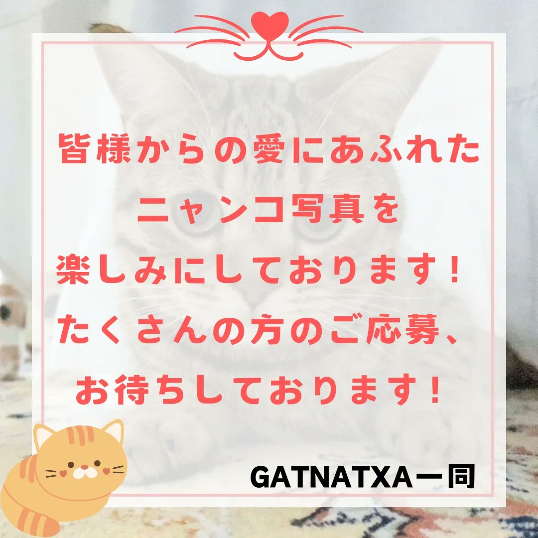 gatnatxa's tweet photo. 2/22猫の日緊急企画！
ご自慢のニャンコ写真を送って下さい！
猫の日は店内を猫ちゃんの写真でいっぱいにしたいのです！
皆様、ご応募、ご協力よろしくお願い致します。

#猫の日 #にゃんこ #ニャンコの日 #にゃんフォトコンクール #猫イベント https://t.co/fdx0MYVCeJ