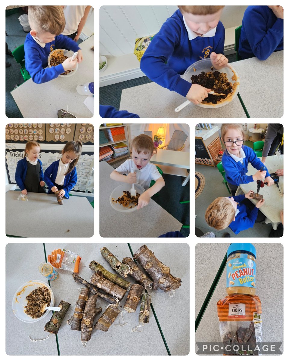stjosephskly's tweet photo. Willow Class this morning have been making bird feeders for Dt week &amp; Mental health week . We used drills to make holes for the birds feed to go inside and we twisted hooks for the top of our bird feeders . #SJKdt #SJKwellbeing #Willowaclass @bcw_cat @Natures_Voice @Stocksfield https://t.co/43pG2lJOrl