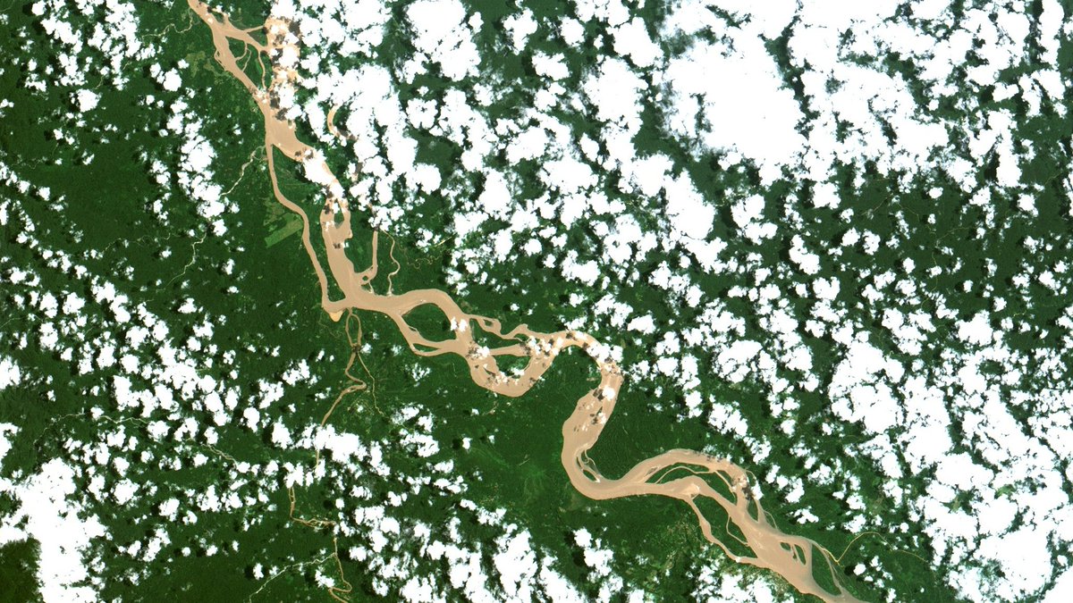EIAEnvironment's tweet photo. 🛑 Some of Peru's proposed and approved laws might further harm efforts for #AmazonPreservation, legalizing vast tracts of illegal deforestation, just as the EU is consulting with Peru’s Government on implementing the EUDR. #StopDeforestation https://t.co/v4OkEVeXu8