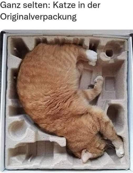 Ulrike Lebt (@ulrikelebt1) on Twitter photo 