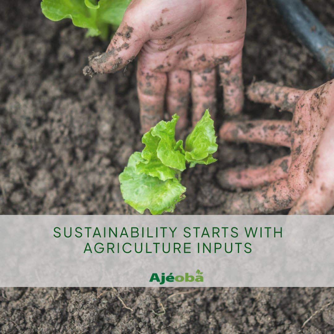 ajeobaex's tweet photo. The pursuit of sustainability in agriculture begins with the inputs we use. Discover our carefully curated selection of organic and eco-friendly agriculture input suppliers.
#agriculture #farmers #inputs #ajeoba https://t.co/QyOuqYOkfi