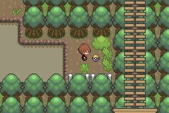 Pokemon Infinite Fusion tweet media