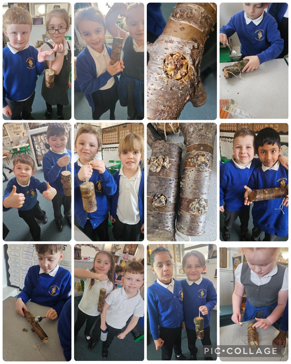 stjosephskly's tweet photo. Willow Class finished the bird feeders this afternoon by filling the holes with bird feed and placing them on trees on our field for the birds 🐦‍⬛🐦 . #Willowclass #SJKdt #SJKwellbeing @Natures_Voice #schoolbirdwatch2024 @bcw_cat @Stocksfield https://t.co/5VAeaM1y1V