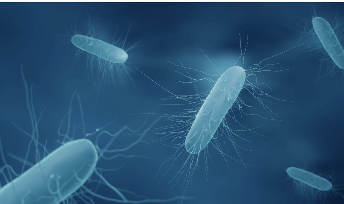 It is important that pharmacists and pharmacy professionals  stay informed about new treatments for gut dysbiosis to help patients seeking treatment, according to Sharon Rimon, NP. Read more here.bit.ly/3uvXB8t