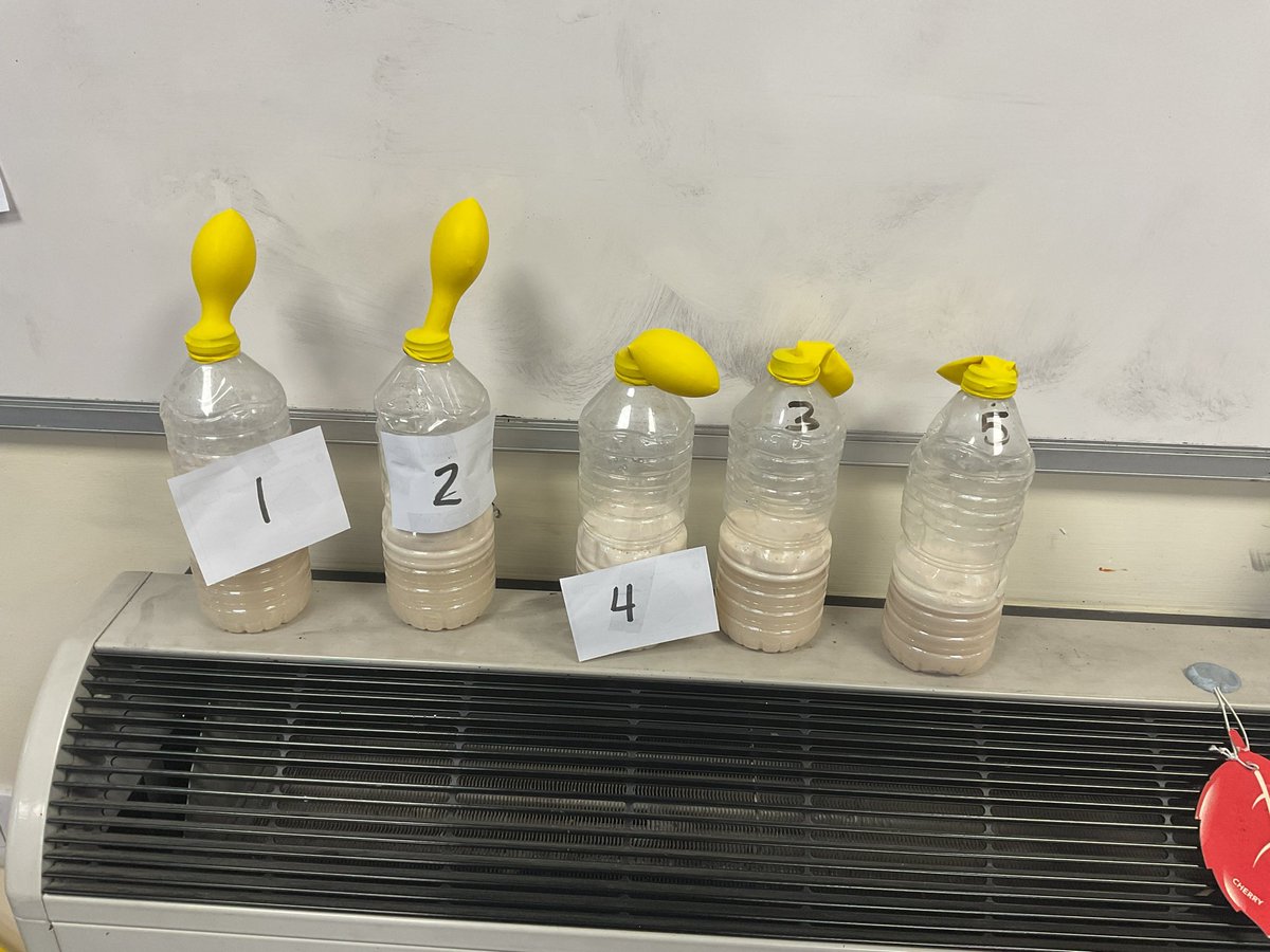 AcklamWhin's tweet photo. This afternoon, in science, Year 6 have been investigating if yeast is a living thing @Grammarsaurus1 #experiments #learningisfun #consumes #yeast #sugar #CO2 https://t.co/6EqtvRZEXd