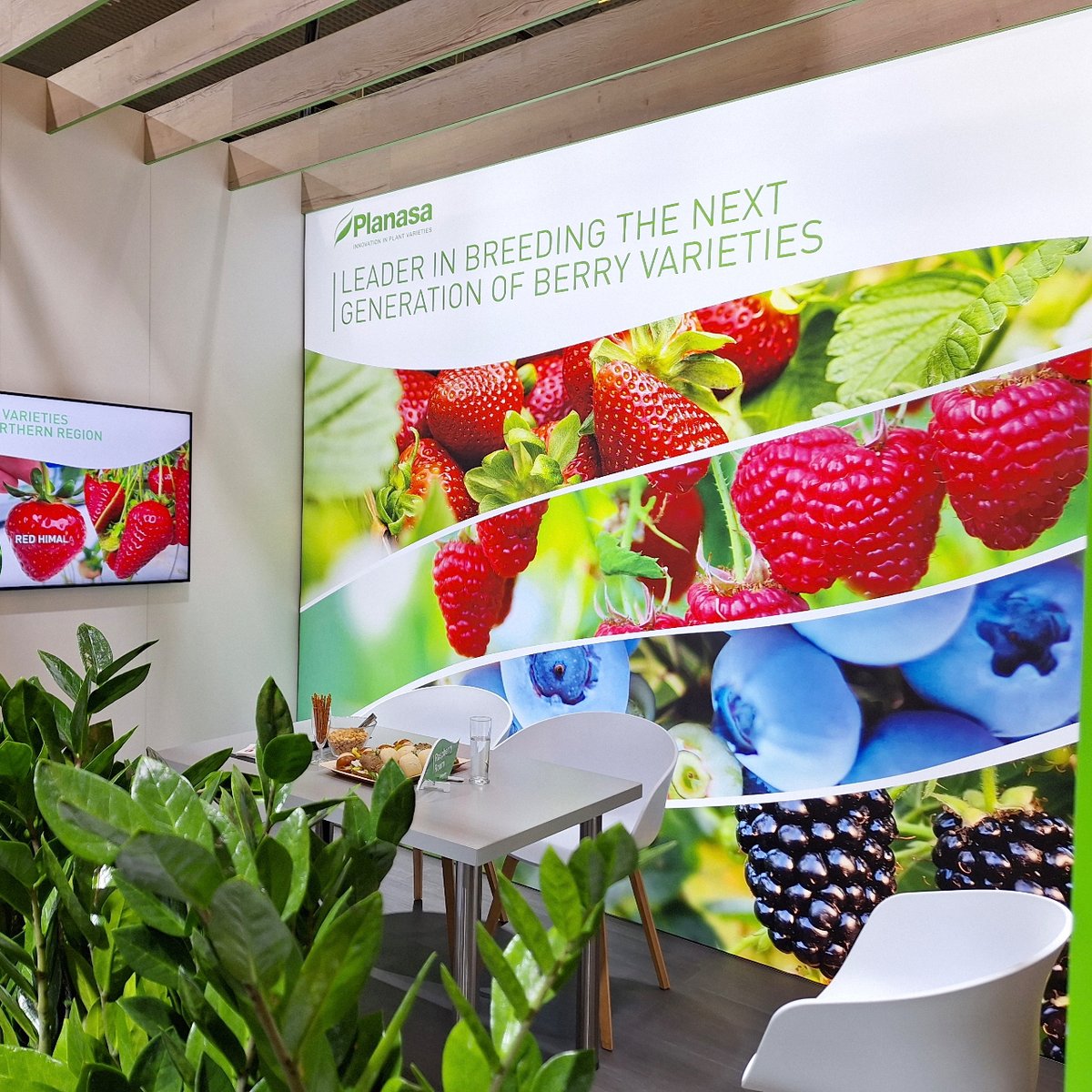 planasa_group's tweet image. And the day has come, @FRUITLOGISTICA is here. 🌱

Our team will be delighted to welcome you at our 👉 stand b-71, located in hall 8.2. 👈

We look forward to seeing you! 💚

#planasa #agriculture #event