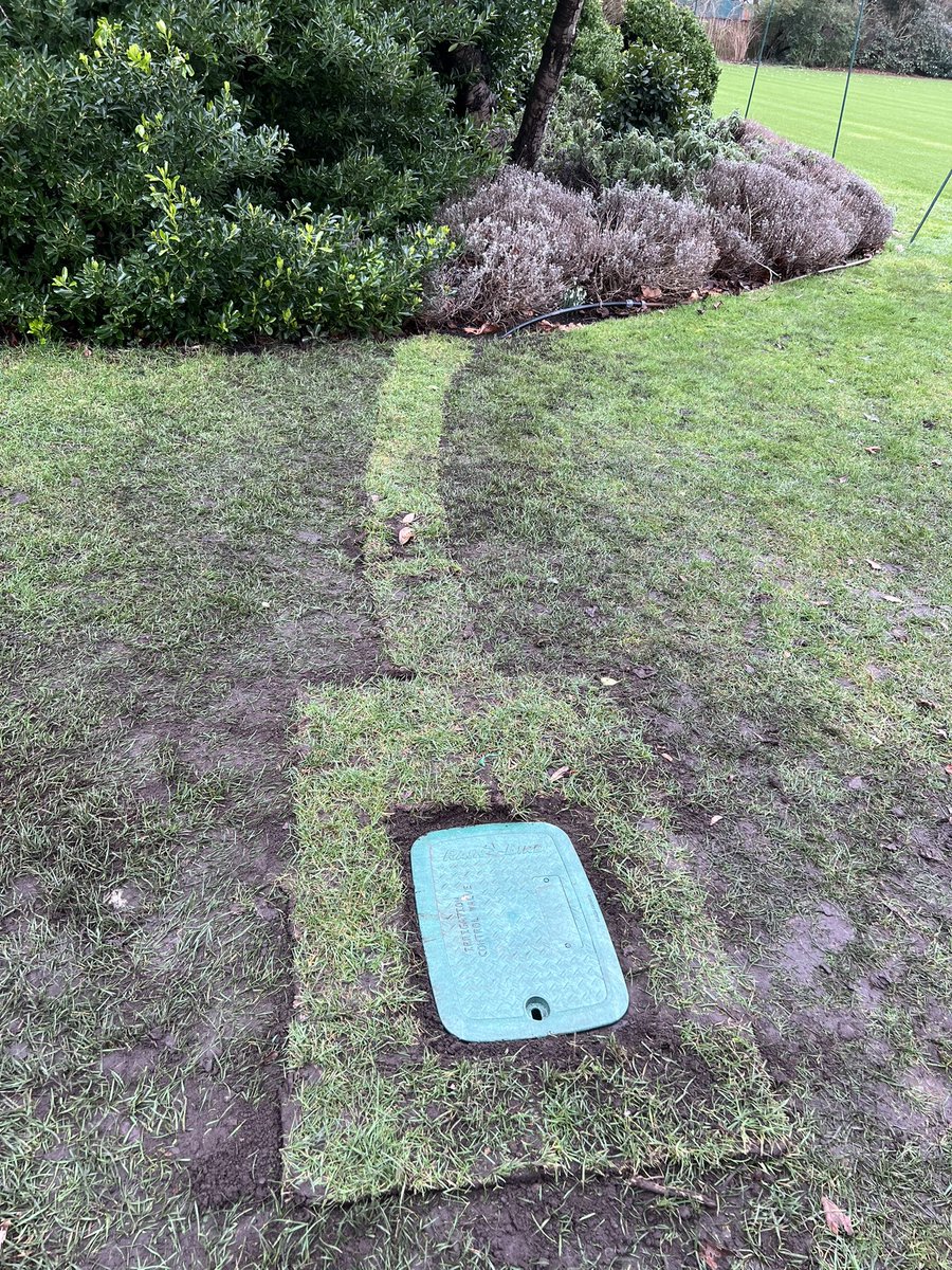 Andre Holt tweet media