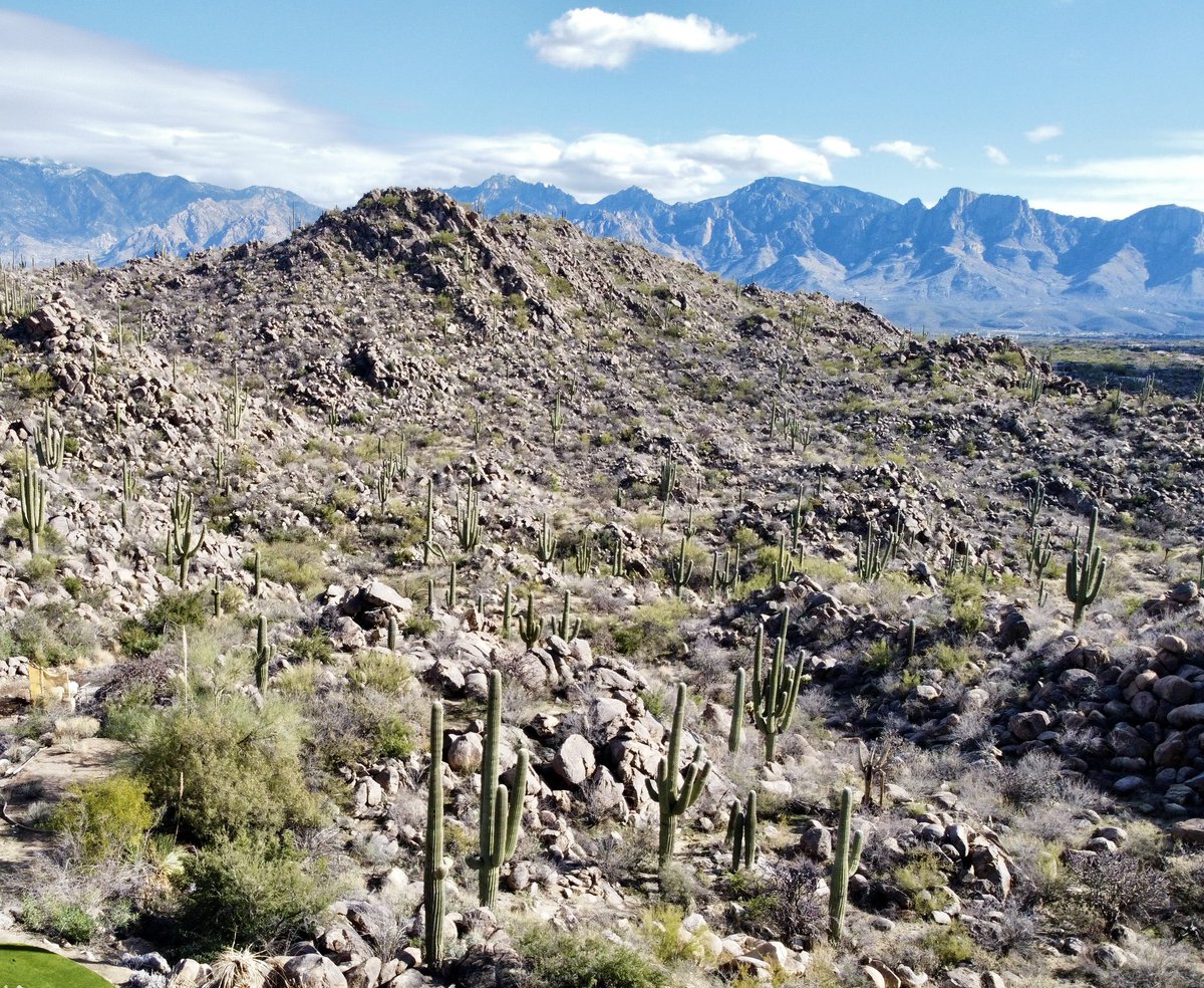 David Jones tweet media