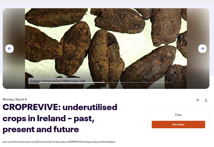 CROPREVIVE invites you to join us (Monday 4th March, in-person or online) at a meeting for stakeholders (farmers, seed merchants, agronomists, economists, food processors and producers, state agencies). Register here: shorturl.at/CJ478 #LoveIrishResearch @IrishResearch