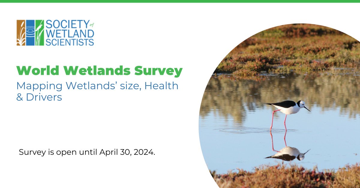 🌿 We need your input on world wetlands! Our flagship study is back, and we want YOU to be a part of this global mission. Help shape the future of our planet's wetlands and take part in the survey now: worldwetland.network/our-work/world…