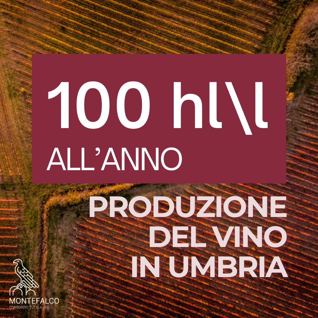 🆕 In Umbria, il vino rappresenta una delle principali coltivazioni con cereali e tabacco.  

👩‍🌾🍷La gran parte delle aziende  del territorio sono di piccola o media struttura, e oltre la metà produce meno di 100 hl\l annui.
 #montefalco #numeri