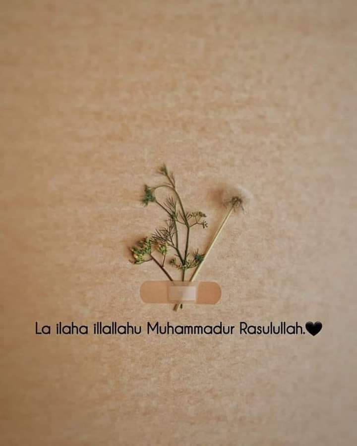 La ilaha illallahu Muhammadur Rasulullah.(ﷺ)🌼🤍 Bless Your timeline ✨️🤍