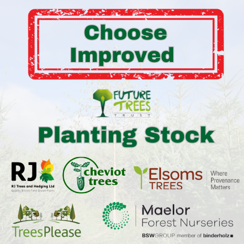 This #TreePlanting season are you choosing improved? Anyone planting trees where timber is the primary objective ought to be using the highest standard of planting stock available to produce a profitable crop of quality timber & for quicker establishment. futuretrees.org/our-impact/