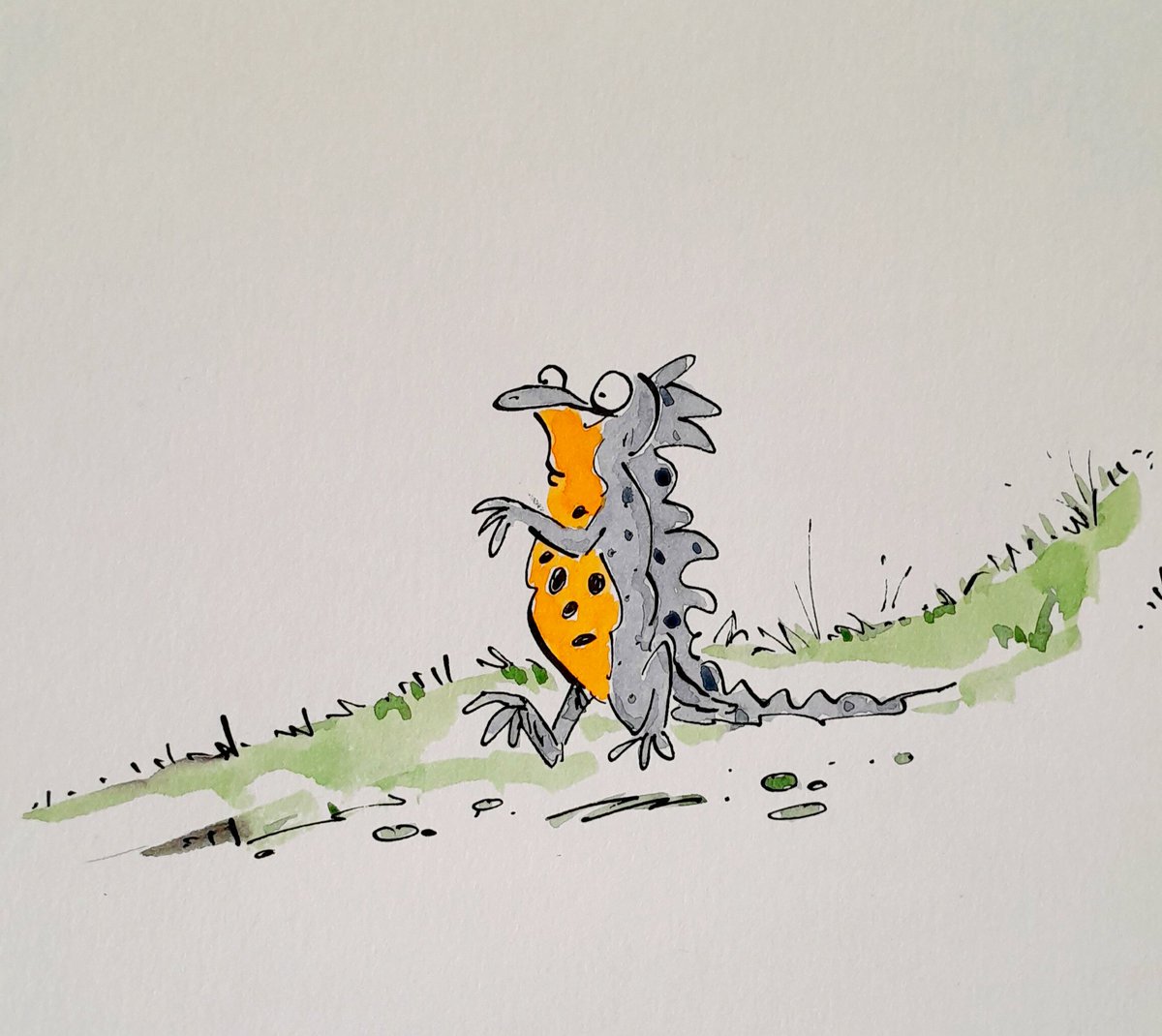 Newt on his way to the local pond...