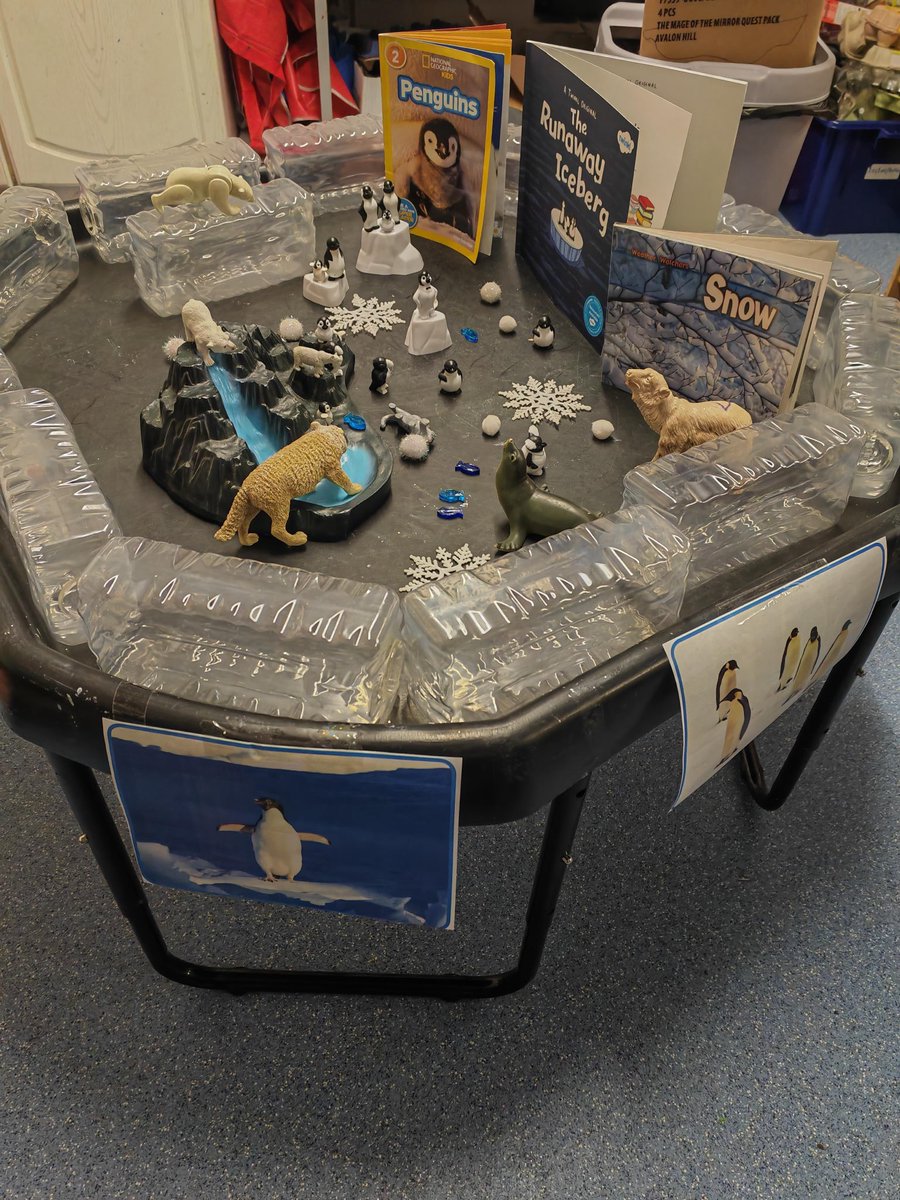 Totem class have been learning some facts about penguins and arctic animals.

They have also been learning about the life cycle of a penguin and labelled them. 

The children will have ice in the tuff tray to experience the cold environment.
