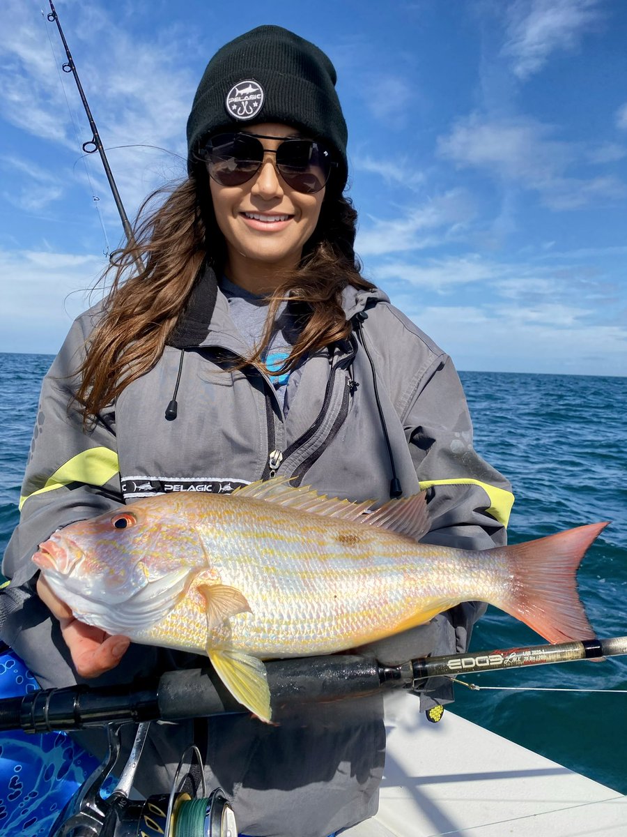 Sara_Salt_'s tweet photo. Look at this nice thick #lanesnapper , many discard but personally I think they are tasty! #fishinglife #offshore #EdgeRods #fishingFlorida https://t.co/970dyMnZn3