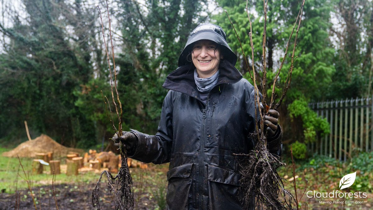Rain ✅ 
Cloudforest Creation ✅ 
400 Native Trees Planted ✅ 
Climate Action ✅ 
Smiles ✅ 

Coolmine CS now has over 400 Native Trees Planted as part of our programme with #awsincommunities #nature #treeplanting
