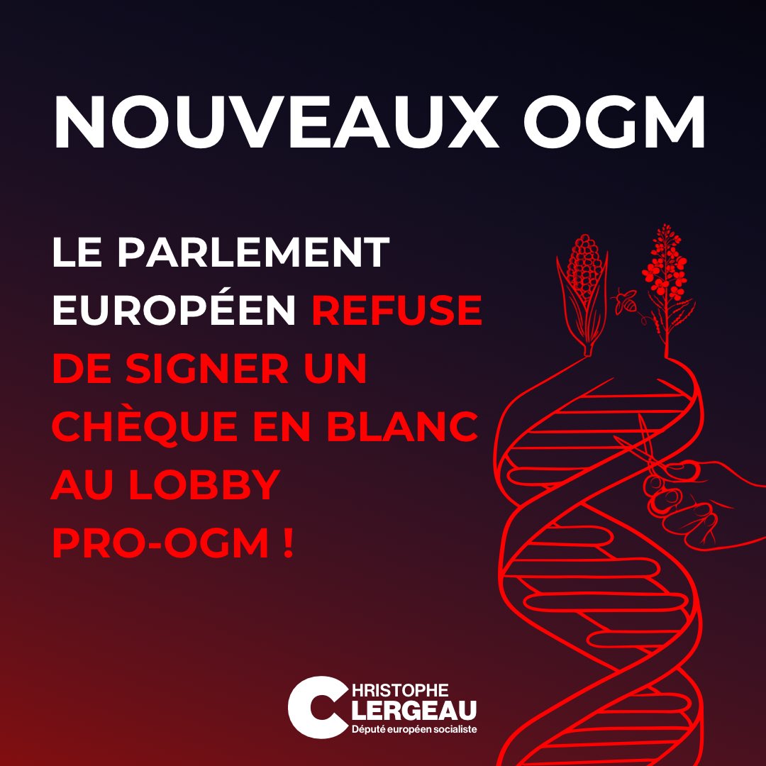 #NouveauxOGM : le Parlement 🇪🇺 a refusé de signer un chèque en blanc au lobby pro-OGM.

Des victoires remportées : pour informer les consommateurs (traçabilité), pour un suivi scientifique des effets sur l’environnement..

Des batailles sont encore à mener, le combat continue !