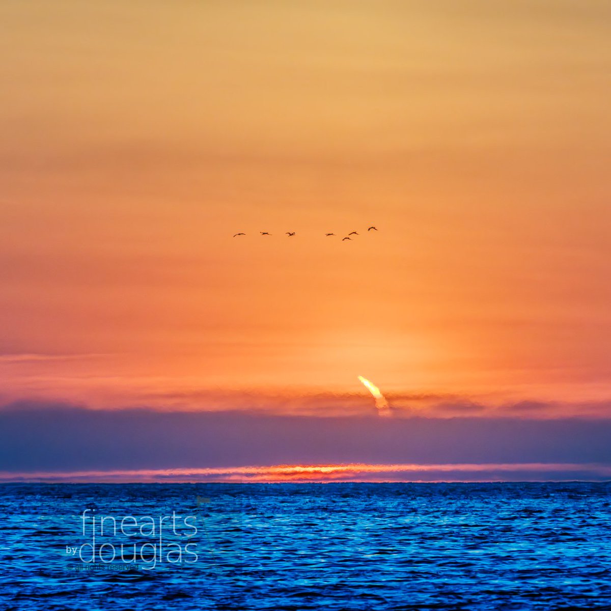 ngdouglas's tweet photo. #HappyHumpDay, the #HotTopic of late is the #Solar #TotalEclipse that will happen on #Apr8; this is the #AnnularEclipse during #sunrise taken during in 2021, enjoy this #NaturalWonder... #photography #finearts #fineartsbydouglas #WeeklyHumpDayPhoto #artofcreation https://t.co/FPWCFLEz3R