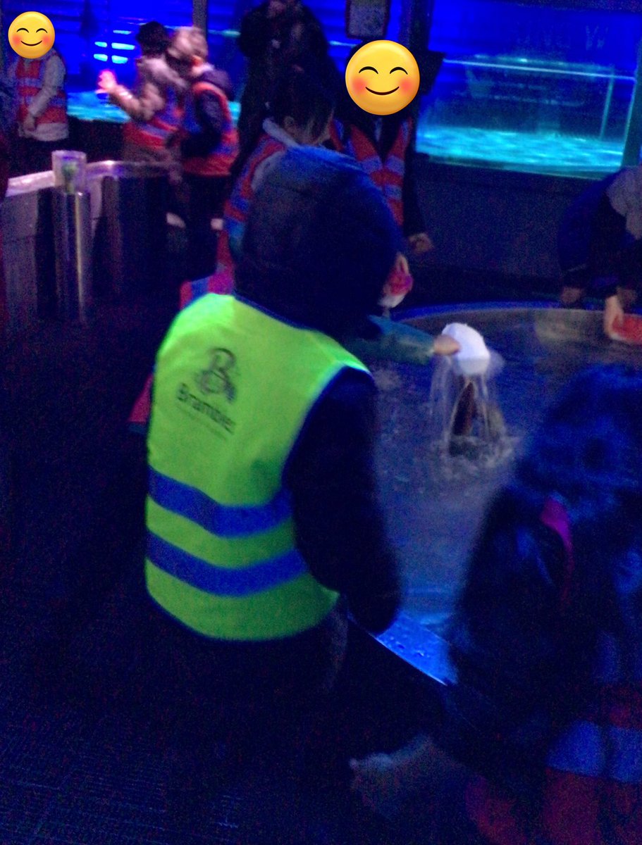 BramblesAspen tweet media