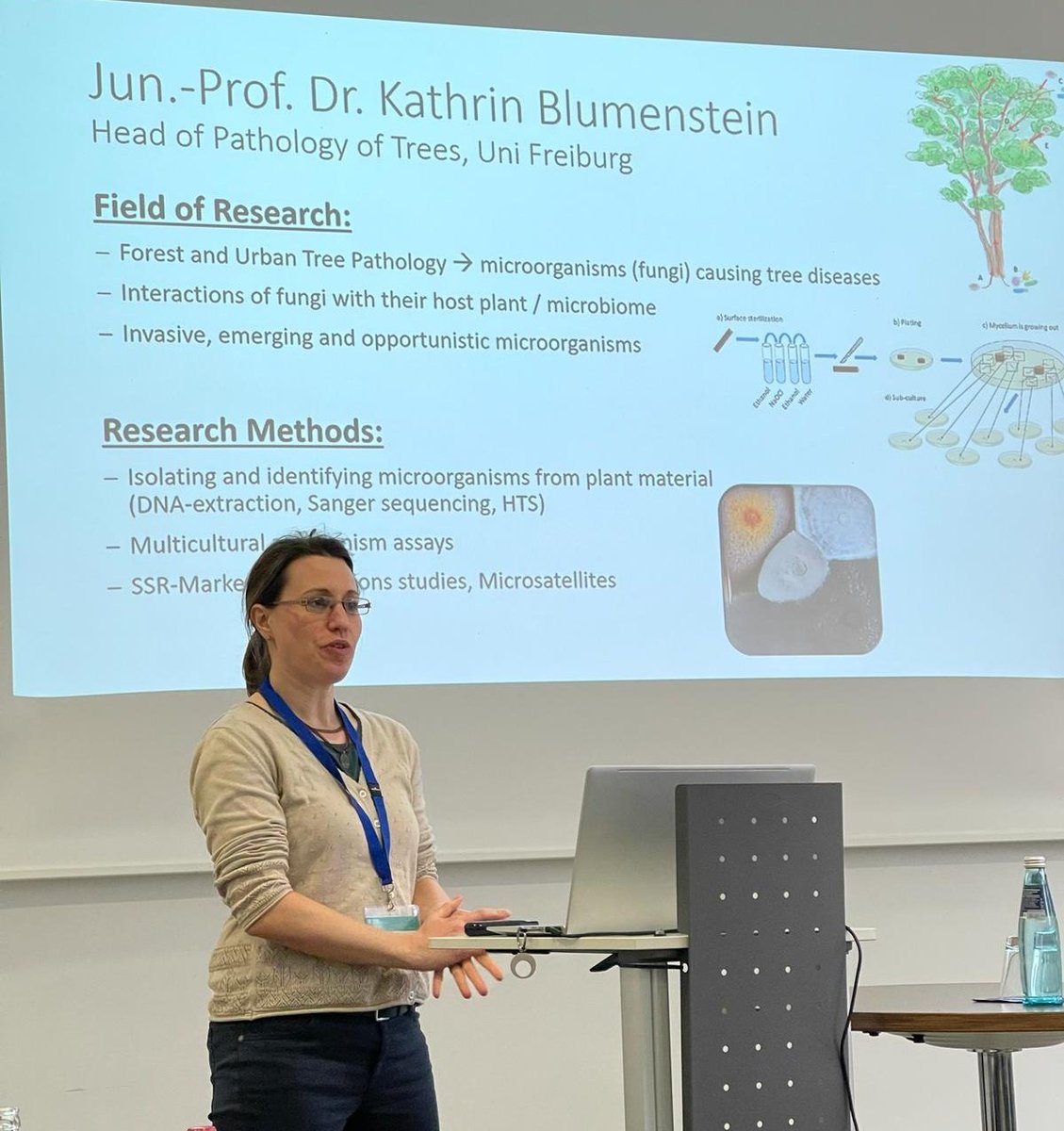 TreePathoMyco's tweet image. Organised by the Chair of Entomology of @UniFreiburg we attend the @FRIAS_UFreiburg Conference BBMicroNet to learn about microbial symbiont networks of #barkbeetles 

#forestpathology #interdisciplinary #networking #mycology