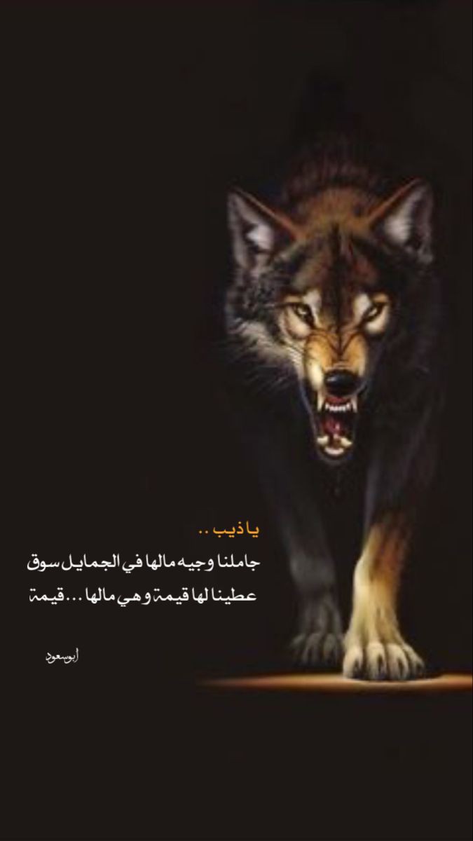 lwlh_2's tweet photo. #راقت_لي ياذيب جاملنا وجيه مالها في الجمايل سوق..
عطينا لها قيمة وهي مالها قيمة..✋🏻✨ https://t.co/ZoHnwv2VPp