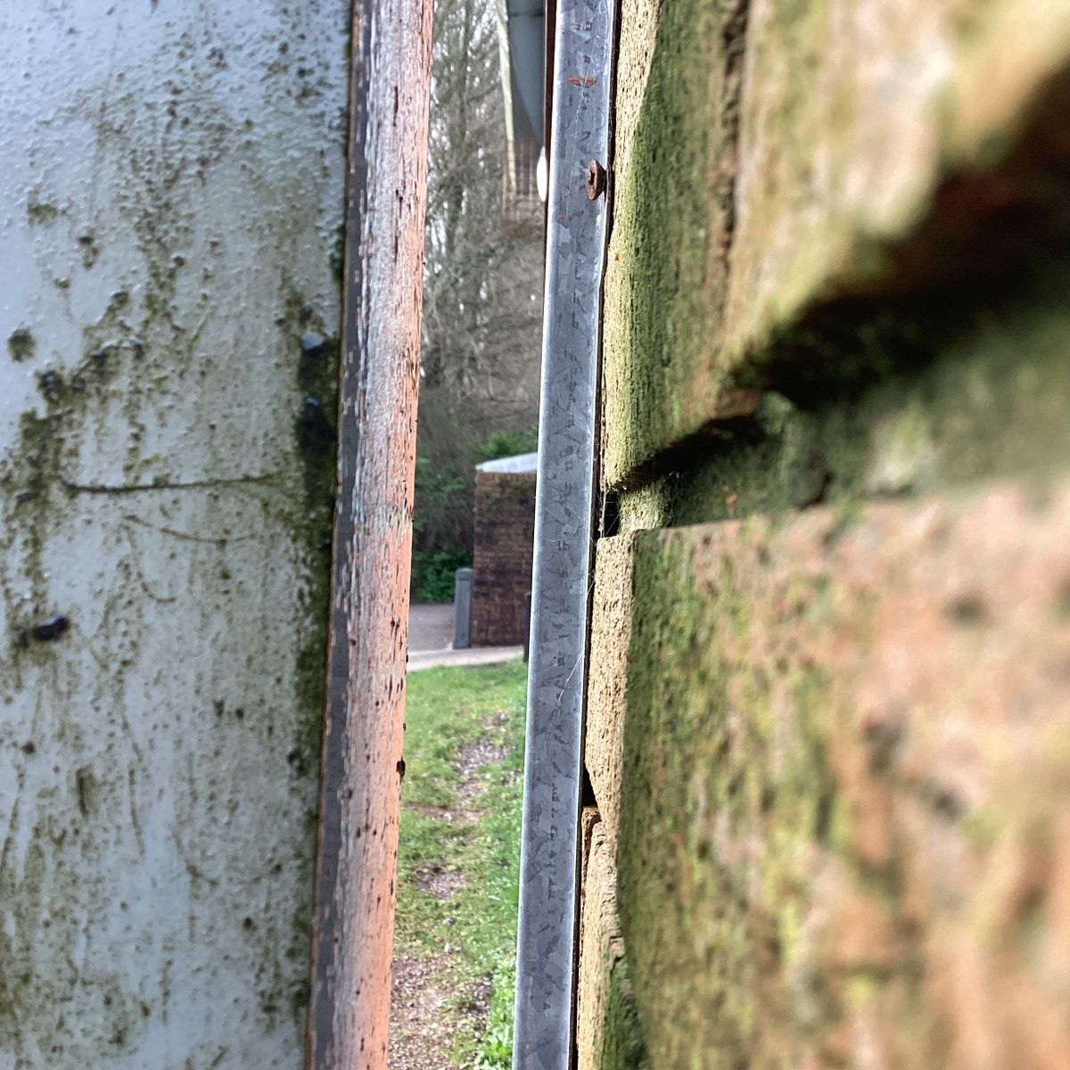 8BWH braved the cold this morning to explore leading lines in architecture. Lots of budding photographers in the mix!