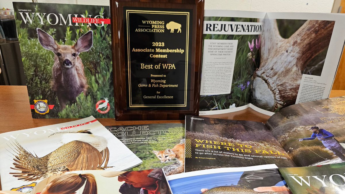 The Department's Wyoming Wildlife magazine had a successful year in 2023, winning a total of 16 awards in the Wyoming Press Association's Associates Contest. The awards are a testament to our commitment to sharing the stories of the department's on the ground work.