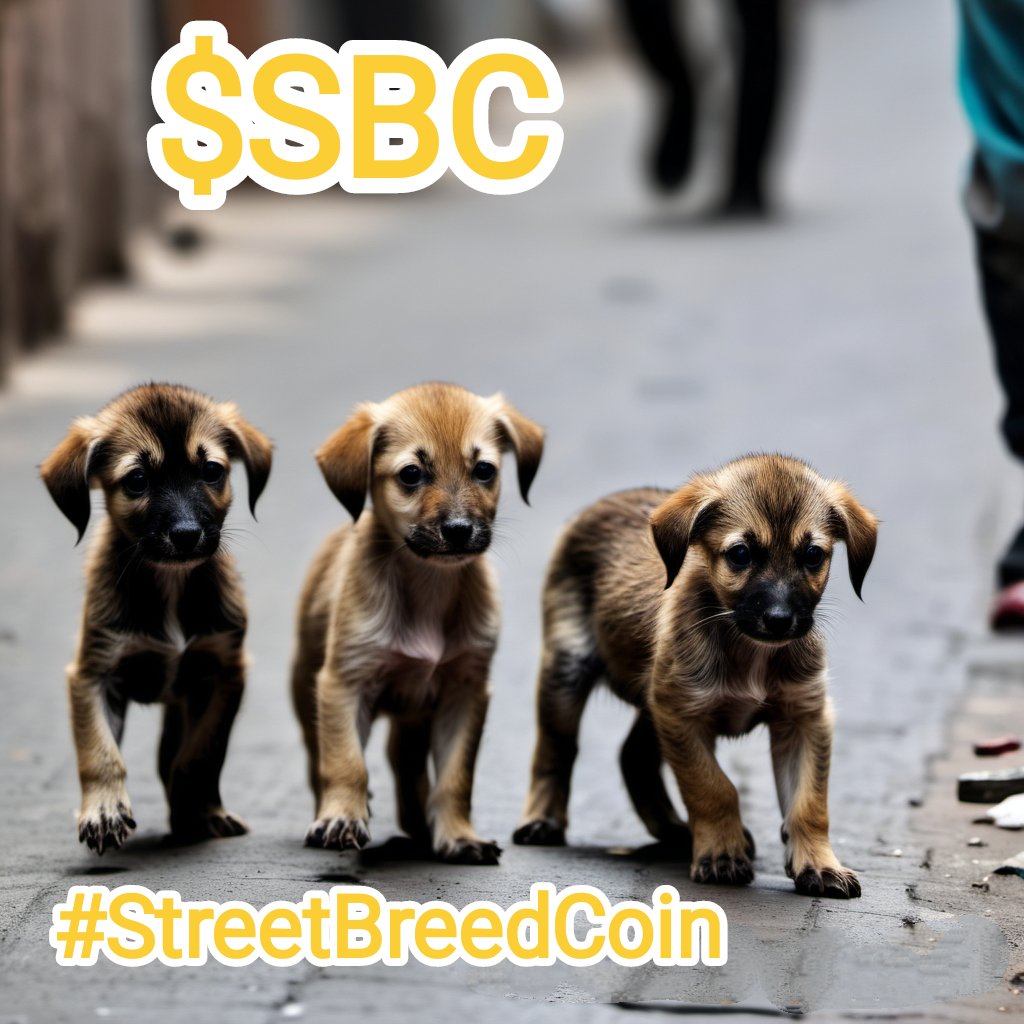 $SBC 

#StreetBreedArmy Donation Time 😁

#StreetBreedCoin #SBC #BNB #Bitcoin #Airdrops #giveaways #AirdropAlert #GiveawayAlert #ElonMusk #1000xgem