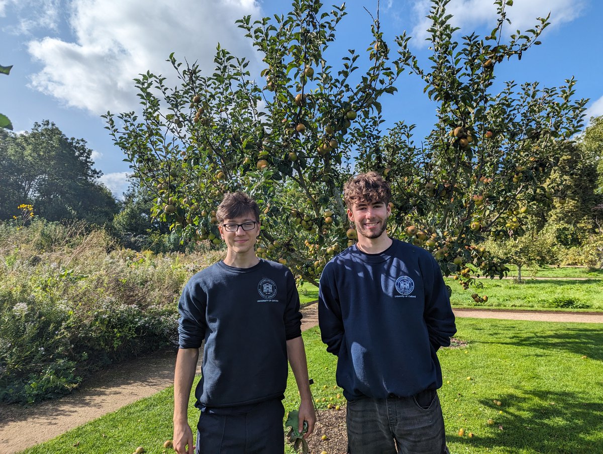 It's National Apprenticeship Week! We're delighted to provide opportunities for the next generation of horticulturists &amp; arborists through our apprenticeship scheme, working w/ @oxuniapprentice &amp; @abwitCollege. Here's our apprentices George W and George H-E in action! #NAW2024