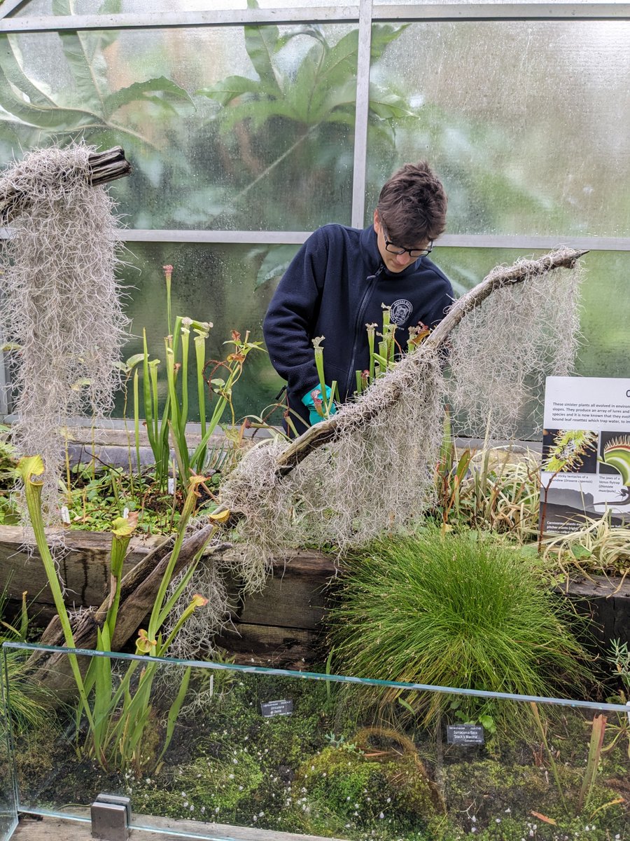 University of Oxford Botanic Garden and Arboretum tweet media