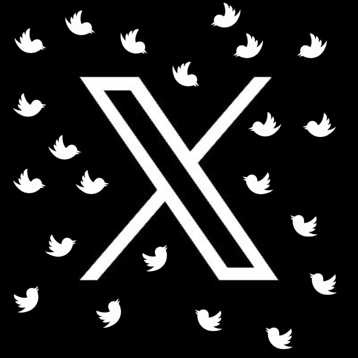 1گھنٹے بعد  پروموشن لسٹ بناؤں گا جس نے ایڈ ہونا ہے  ری پوسٹ کریں اور کمنٹ میں add me لکھیں. 👇
1: follow!
2: Repost!
3: comment