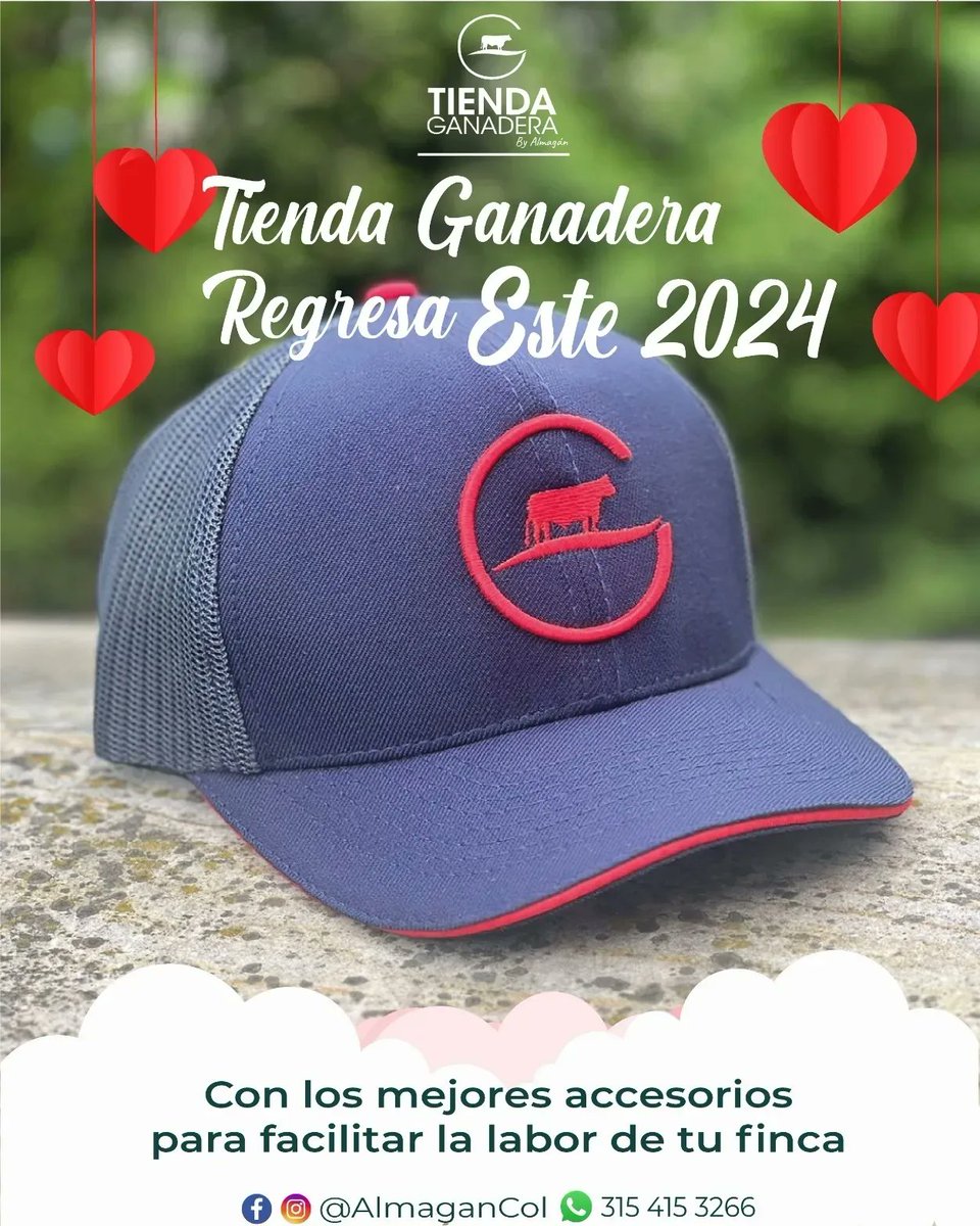 AlmaganColombia's tweet photo. ¿Buscas un regalo original para San Valentín?💘🤭

¡Nuestras gorras exclusivas son la respuesta! Demuestra tu amor con estilo. 💚🧢💜

#GorrasDeAmor #regaloespecial

@Fedegan @jflafaurie @robertorosales3 https://t.co/HdG5iN5QrQ