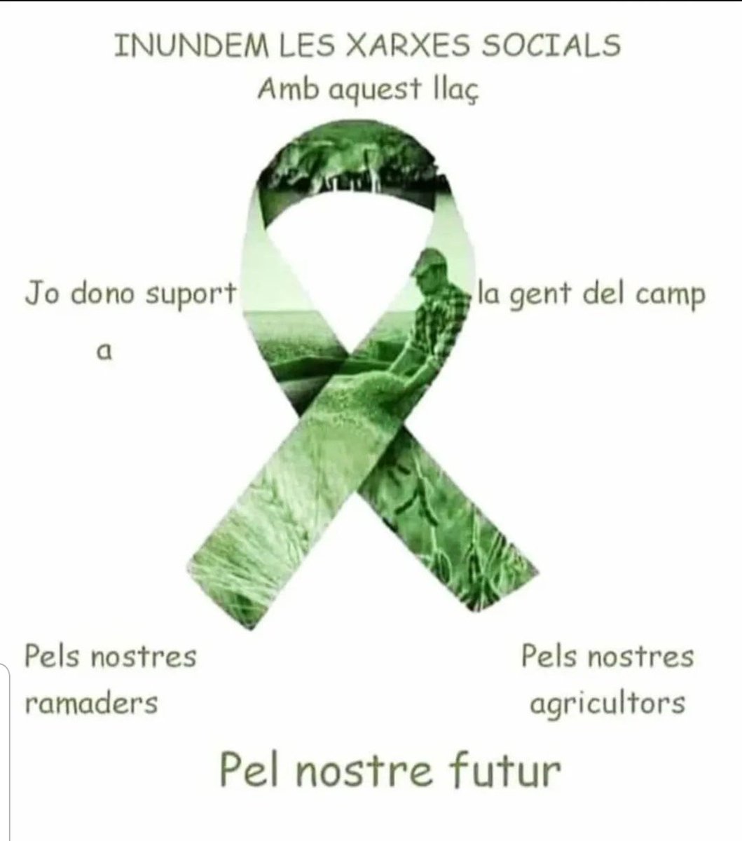 Montse Mas tweet media