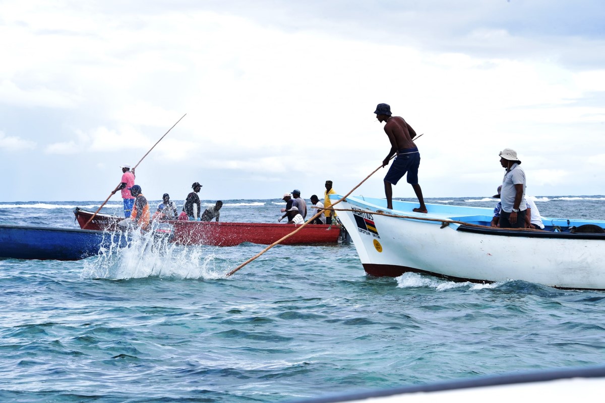 La pêche à la senne à l'île Maurice : Une tradition vibrante et un spectacle fascinant #ilemaurice #Voyage  #mauritius #maurice
✅voyage-ile-maurice.info/ile-maurice/ac…